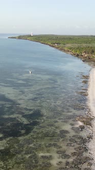 Beach on the Coast of Zanzibar Island Tanzania alt