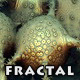 Fractals 3D Sea Dream - VideoHive Item for Sale