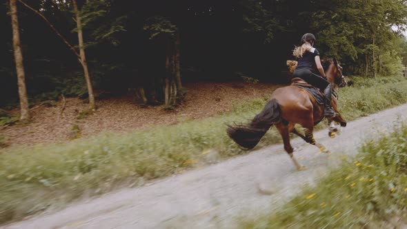 Two Female Equestrians Mounted in Speedy Majestic Horses By the Rich Forest alt