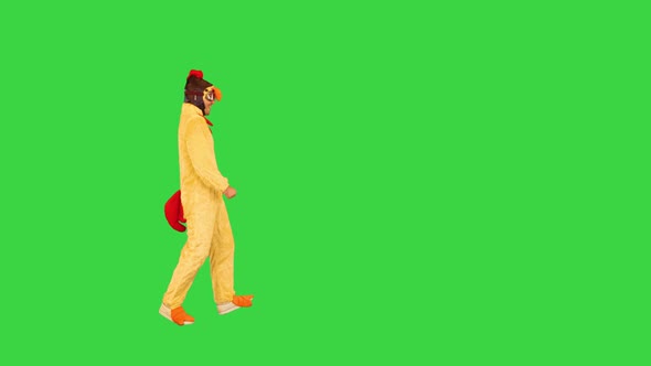 A Funny Guy in Animal Costume Appears Makes Some Dance Movements Then Goes Away on a Green Screen