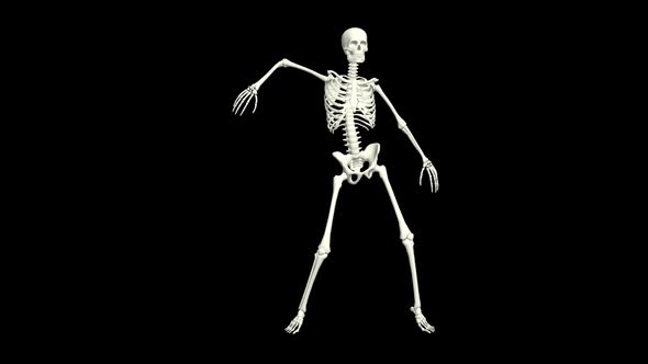 Skeleton Hip Hop Dancing