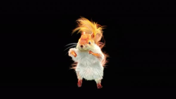 Squirrel Dancing 4K alt