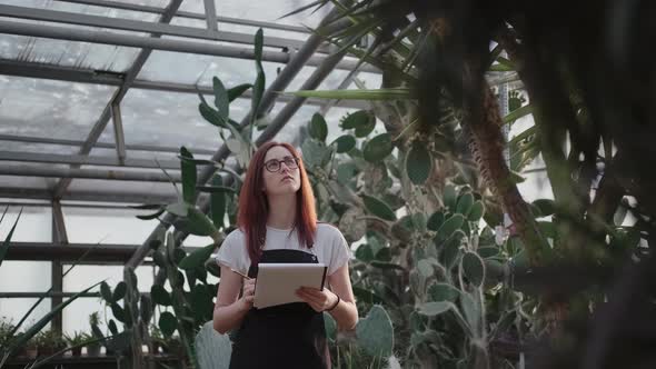 Botanist Woman in a Greenhouse with Cacti Studies Them