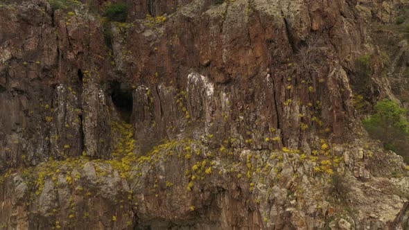 Habitat Of Griffon Vultures 1 alt