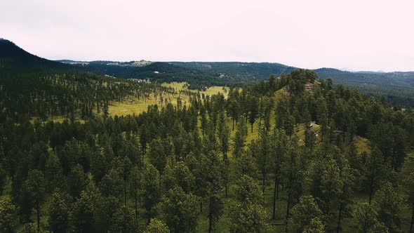 Drone Flying Forward Above Big Tree Covered Hills Revealing Incredible National Forest Landscape alt
