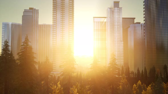 Business Skyscrapers at Sunset alt