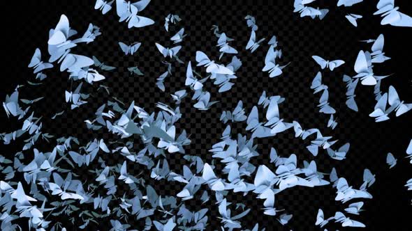 Flock Of Butterflies