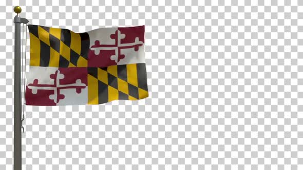 Maryland State Flag (USA) on Flagpole with Alpha Channel - 4K alt