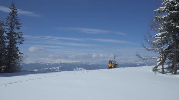 A Man with a Backpack Travels in the Mountains in Winter alt
