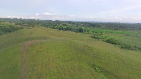 Aerial View of Rural Grassland in the Philippines