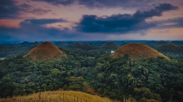 Pictorial Chocolate Hills Surrounded By Endless Jungle