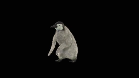 82 Penguin Dancing HD alt
