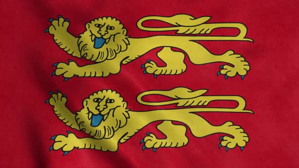 Normandy Flag France Waving in Wind alt