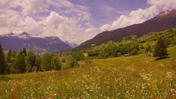 Alpine Landscape