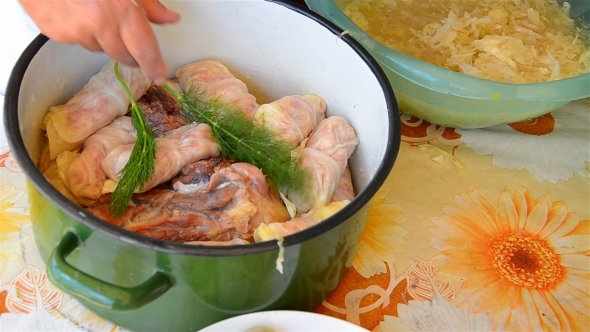 Woman's Hands Preparing Stuffed Cabbage 02