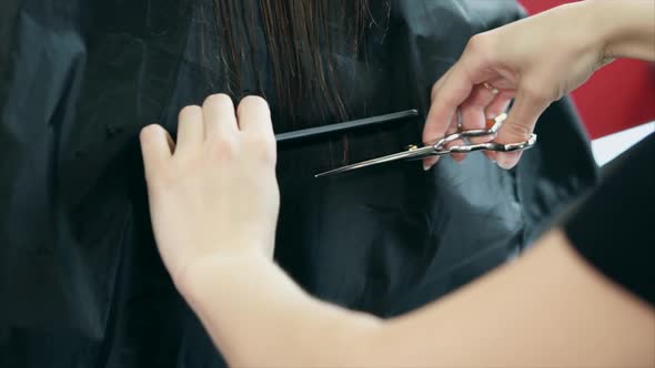 Close Up Shot of the Process of Cutting Split Ends of Hair in a Beauty Salon alt