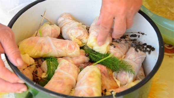 Woman's Hands Preparing Stuffed Cabbage 03