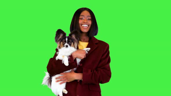 Charming African Girl with a Papillon Puppy Smiling on Camera on a Green Screen Chroma Key