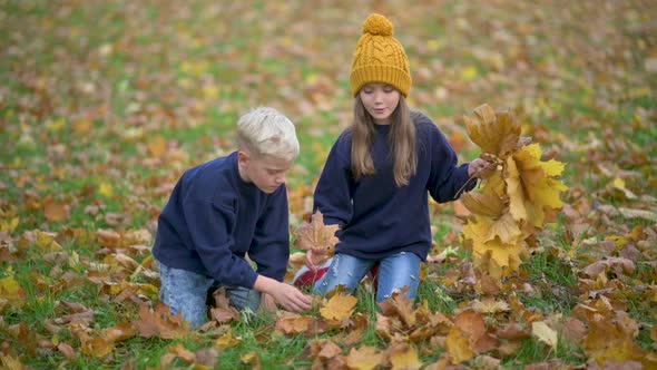 Kids Gather A Bouquet Of Beautiful Yellow Fallen Leaves.