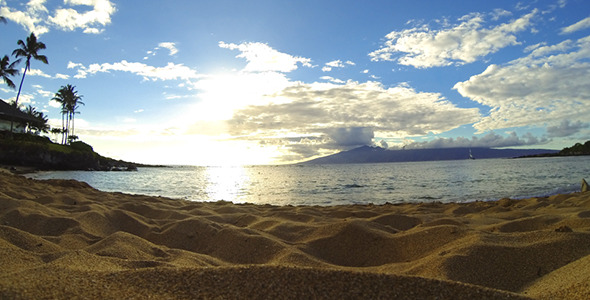 Maui Sunshine