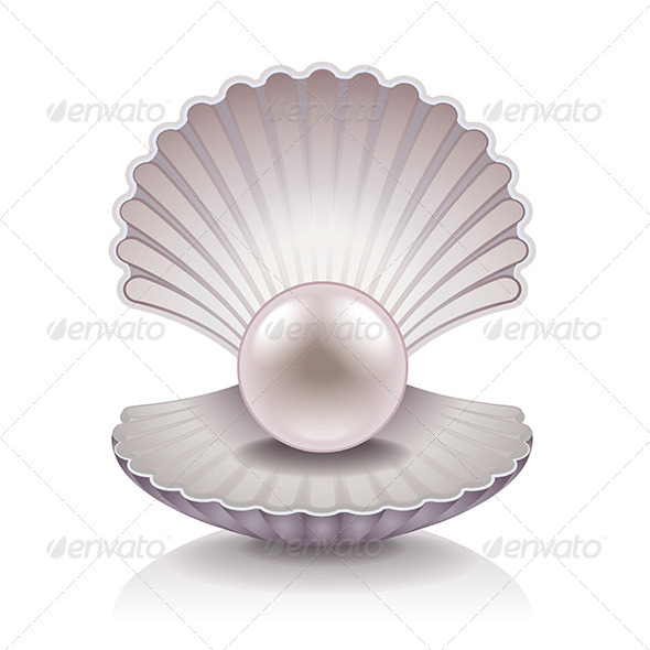 Shell with Pearl - Organic Objects Objects