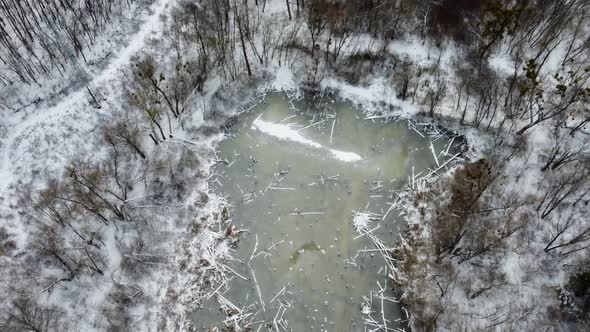 Aerial view on frozen wild lake in wintry forest