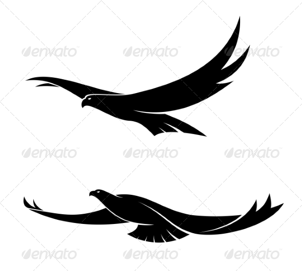Two Graceful Flying Birds - Animals Characters