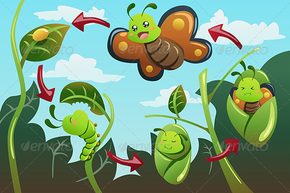 Life Cycle of the Butterfly - Animals Characters