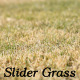 Brown Grass 1 - VideoHive Item for Sale