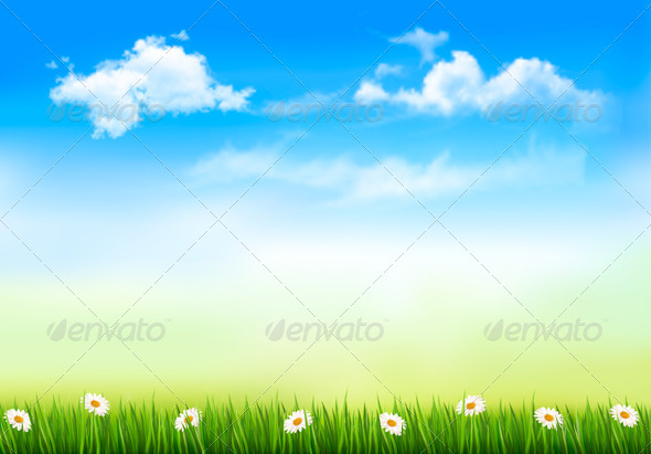 Nature Background with Green Grass and Sky - Nature Conceptual