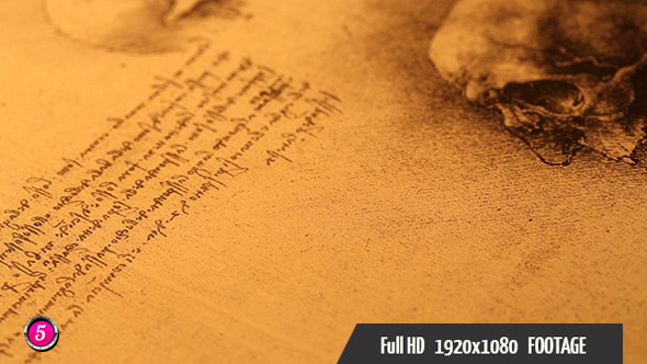 Anatomy Drawings 2 alt