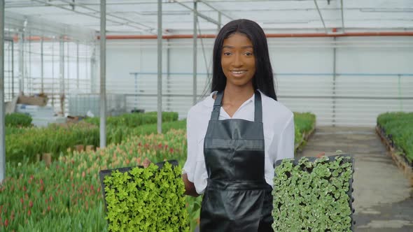 Beautiful Young African Girl in a White Shirt and a Black Leather Apron Stands with Seedlings in Her alt