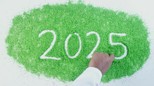 Hand Writes On Green 2025