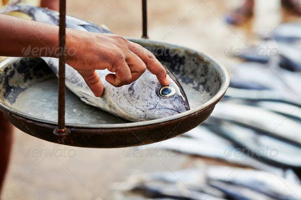 Fish market - Stock Photo - Images