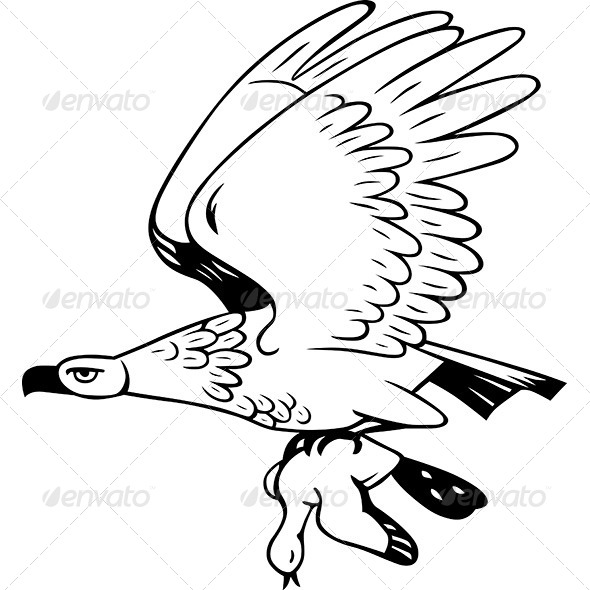 Eagle and His Prey - Animals Characters