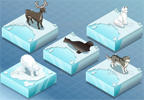 Isometric Arctic Animals on Ice - Animals Characters