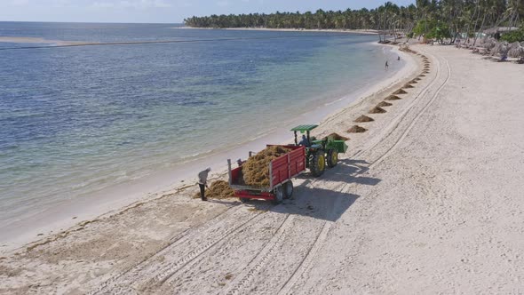 workers-and-tractor-cleaning-seaweed-along-punta-cana-beach-dominican