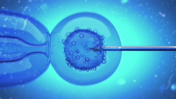 DNA Filled Liquid Being Injected Into An Egg Cell Nucleus by razvan25