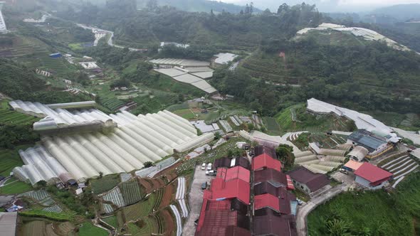 Cameron Highlands, Pahang Malaysia alt