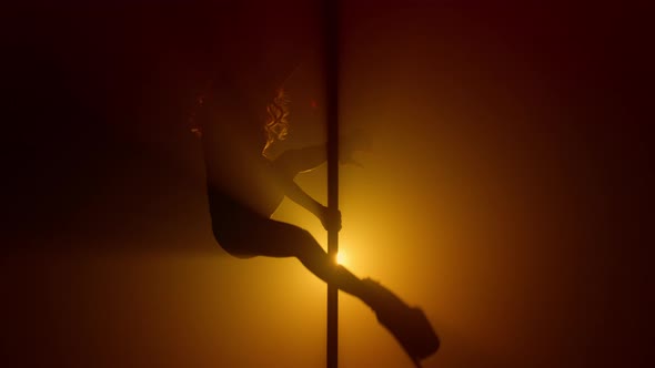 Woman Silhouette Practicing Poledance in Club alt