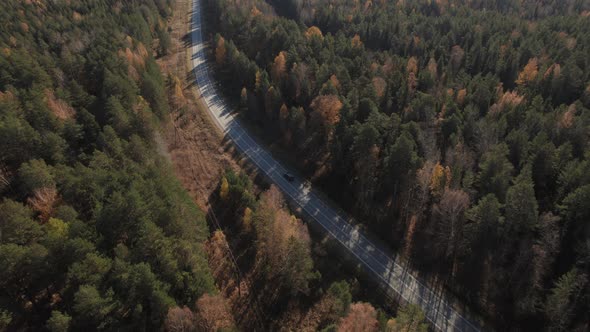 Autumn forest and road with traffic cars in Ural