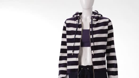 Striped Hoodie on Female Mannequin alt