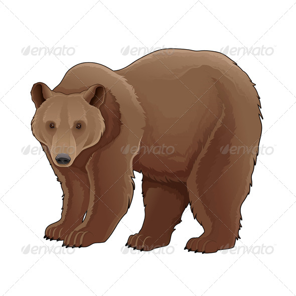 Brown Bear - Animals Characters