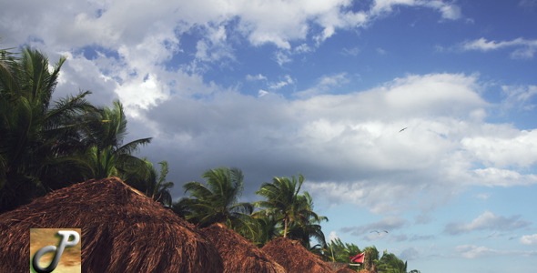 Playa Del Carmen Clouds With Palms Trees alt