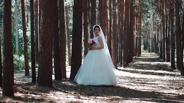 Bride Stands Alone in the Woods and Looks Around alt