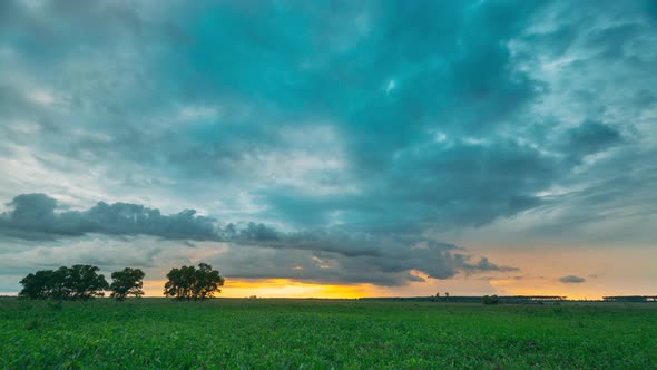 Rain Rainy Clouds Above Countryside Rural Field Landscape With Young Green Wheat Sprouts In Summer alt