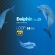 Dolphin 19 - VideoHive Item for Sale