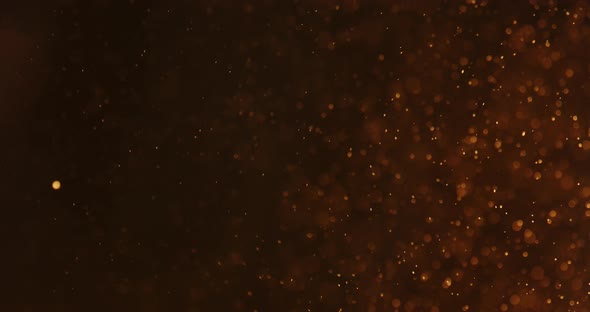 Red Bubbles And Particles In Water Against Black Background alt