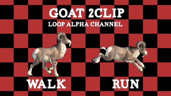 Goat 2clip Loop
