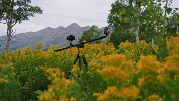 Camera on slider shooting a timelapse in yellow flower field alt